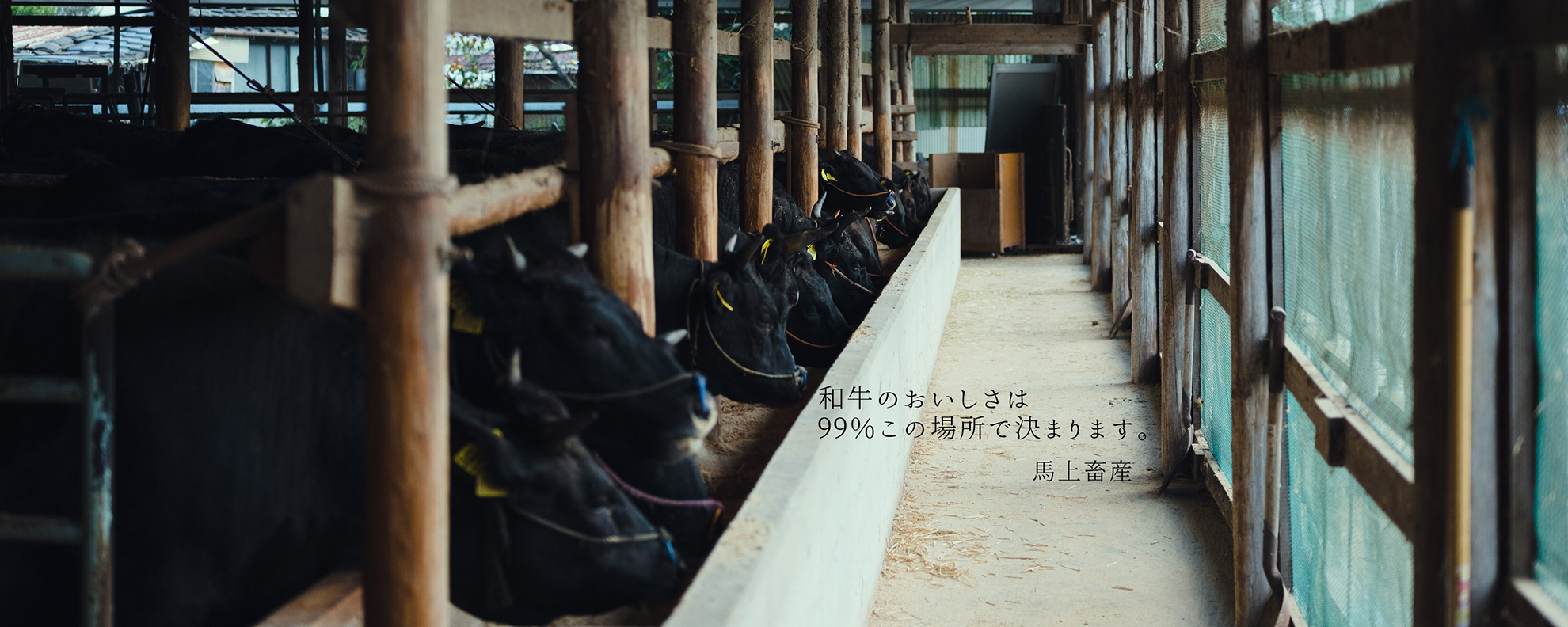 広島・段原で広島牛が食べれる焼肉店「焼肉ふるさと」